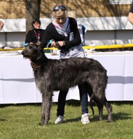 HYNDSIGHT INTO THE MYSTIC